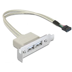 Delock 83119 USB 2.0 2 port Low Profile slot konzol