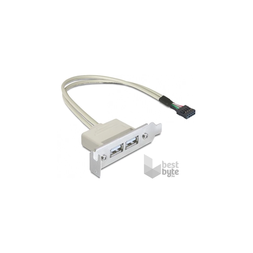 Delock 83119 USB 2.0 2 port Low Profile slot konzol