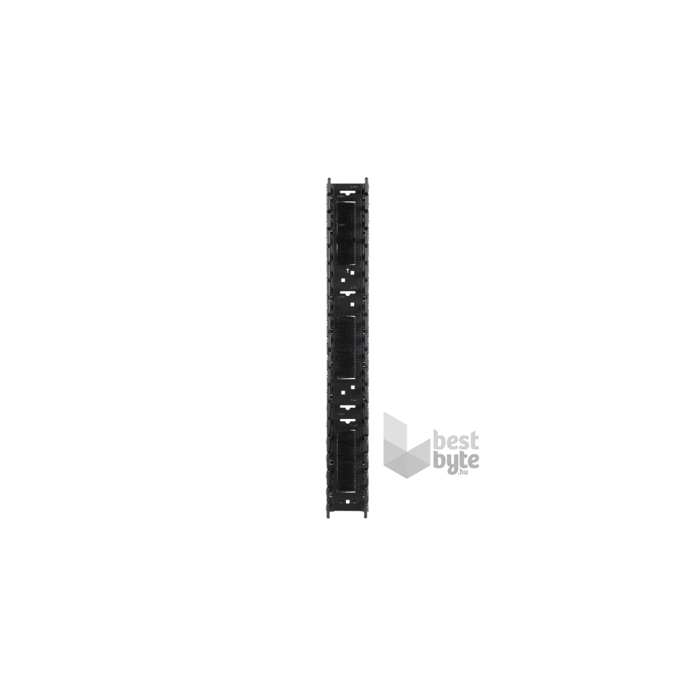 APC Vertical Cable Manager (2)