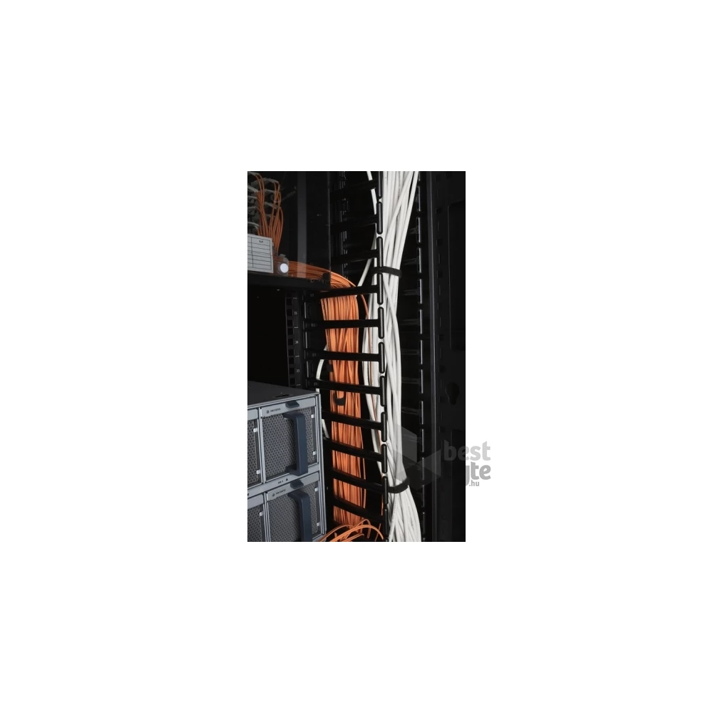 APC Vertical Cable Manager (2)