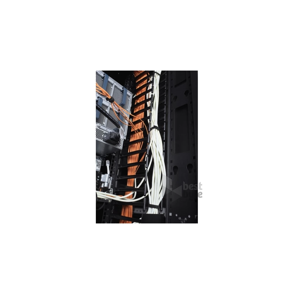 APC Vertical Cable Manager (2)