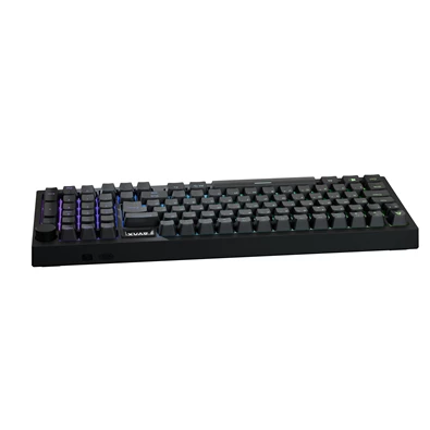 AVAX GM03 PRO 98% HUN Gasket RGB tri-mode mechanikus (Gateron sárga switch) billentyűzet
