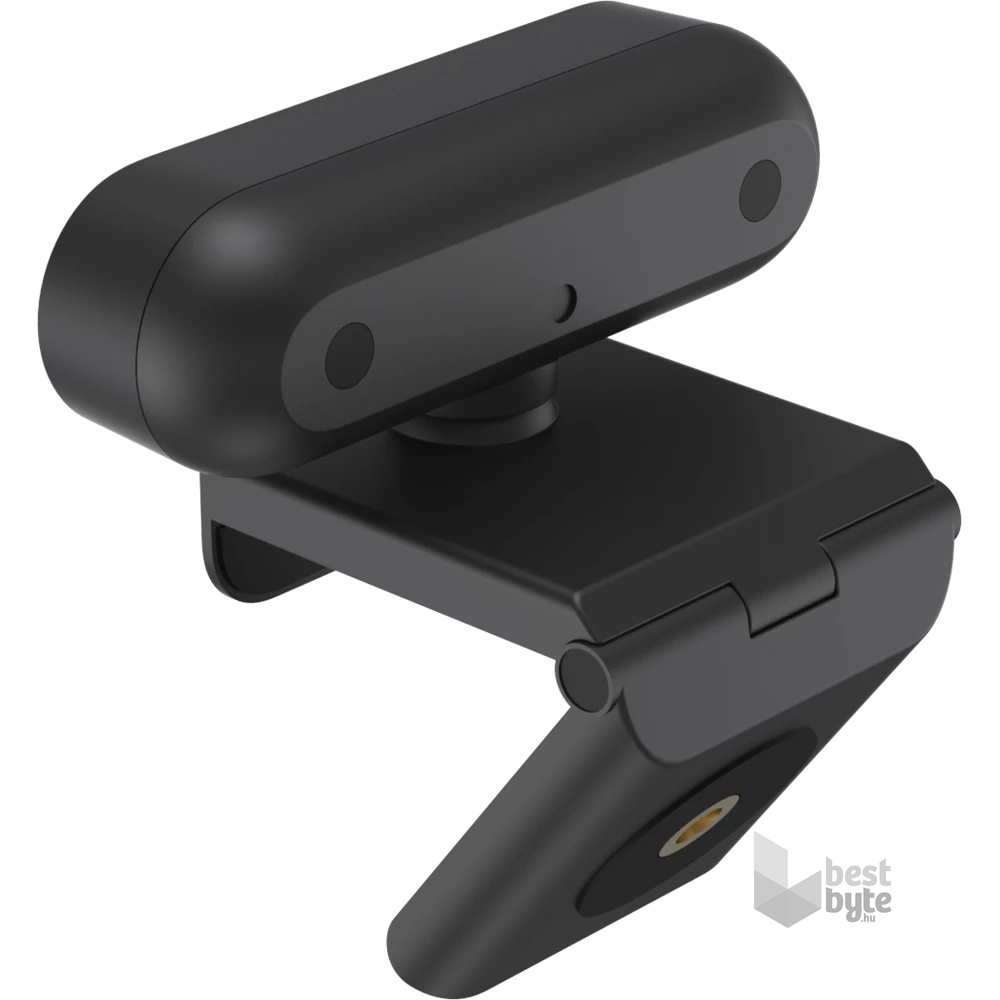 AVerMedia PW310P Full HD USB webkamera