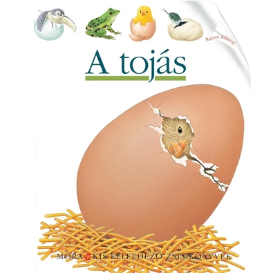 A tojás - (Kis felfedező zsebkönyvek 34.)