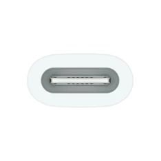 Apple USB C - Apple Pencil adapter