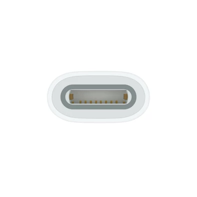 Apple mwml3zm/a Type-C - Apple Pencil adapter