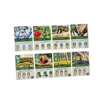 Ark Nova - 2. kiadás társasjáték