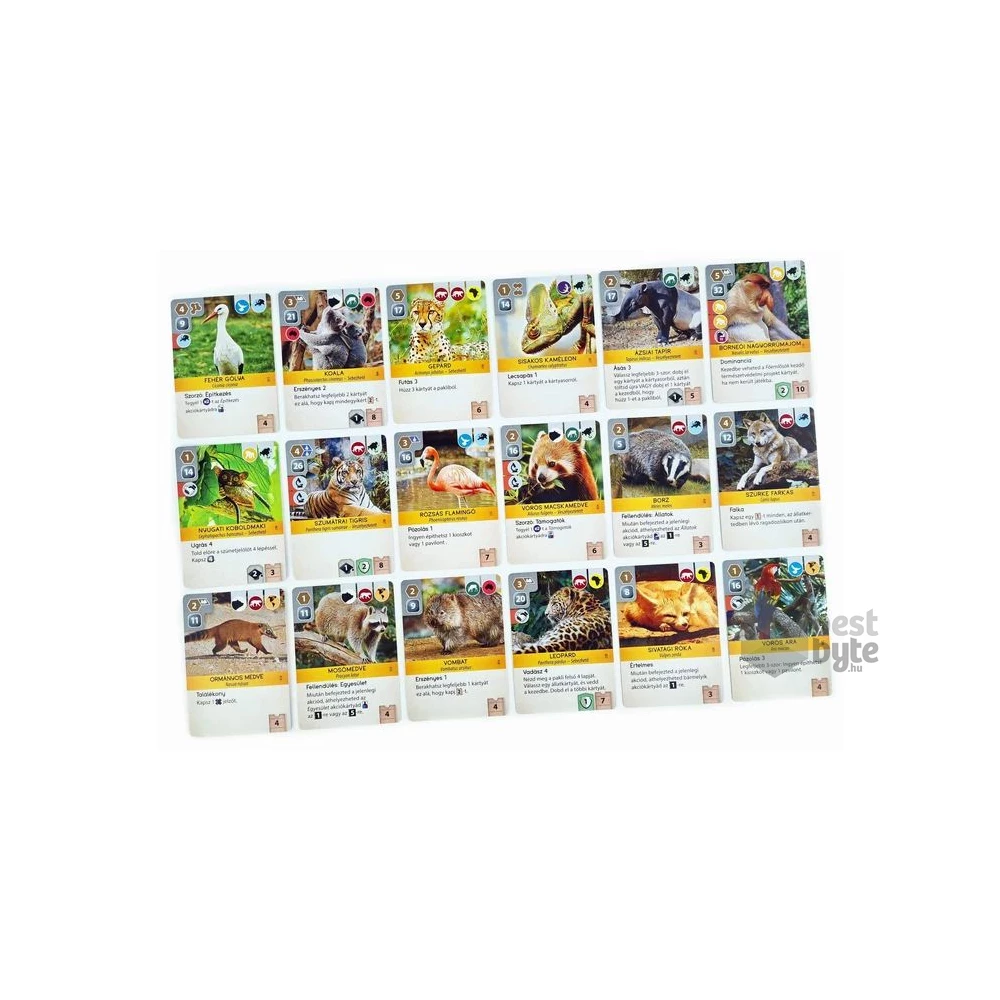 Ark Nova - 2. kiadás társasjáték