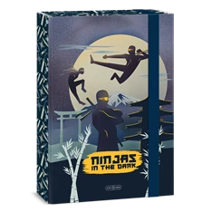 Ars Una Ninjas in the dark 25 (5457) A4 füzetbox