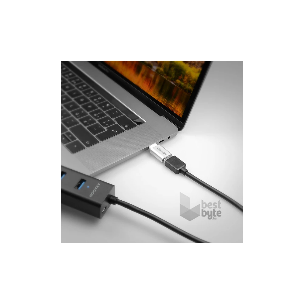 Axagon RUCM-AFA USB-C - USB adapter