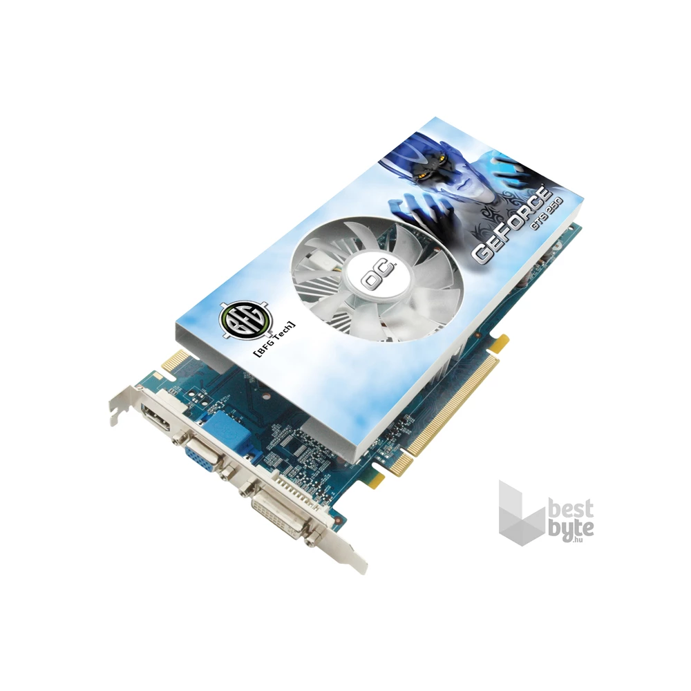 BFG Tech GeForce GTS 250 OC nVidia GTS250 1GB PCIe videokártya