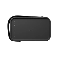 Bang & Olufsen 1253300 Beolit 20 hordozható fekete Bluetooth hangszoró
