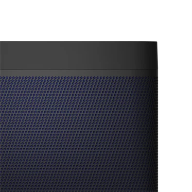 Bang & Olufsen 1253300 Beolit 20 hordozható fekete Bluetooth hangszoró