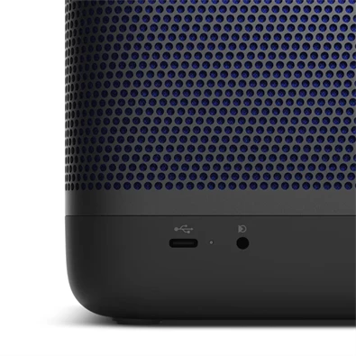 Bang & Olufsen 1253300 Beolit 20 hordozható fekete Bluetooth hangszoró