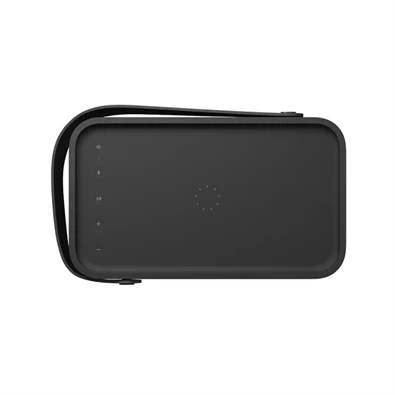 Bang & Olufsen 1253300 Beolit 20 hordozható fekete Bluetooth hangszoró