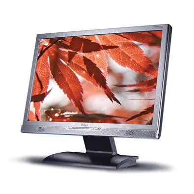 Belinea 22" Wide 2225 S1W LCD_5ms monitor