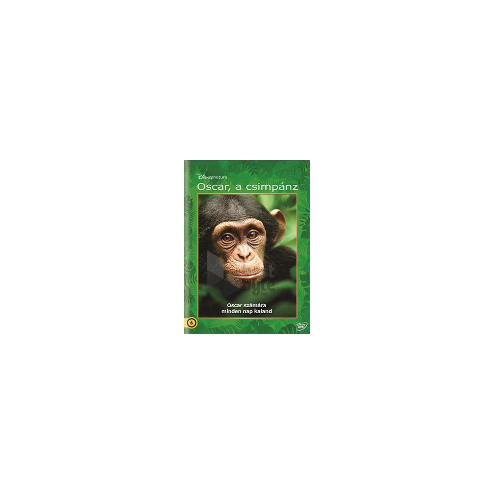 DVD Oscar, a csimpánz