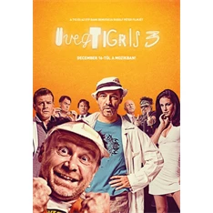 DVD Üvegtigris 3 (1 lemezes)