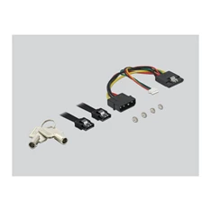 Delock 47191 5.25 Mobil Rack 3.5 SATA HDD-hez