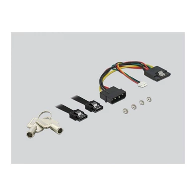 Delock 47191 5.25 Mobil Rack 3.5 SATA HDD-hez