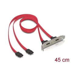 Delock 65116 Slot konzol 2x belső SATA > 2x külső eSATA