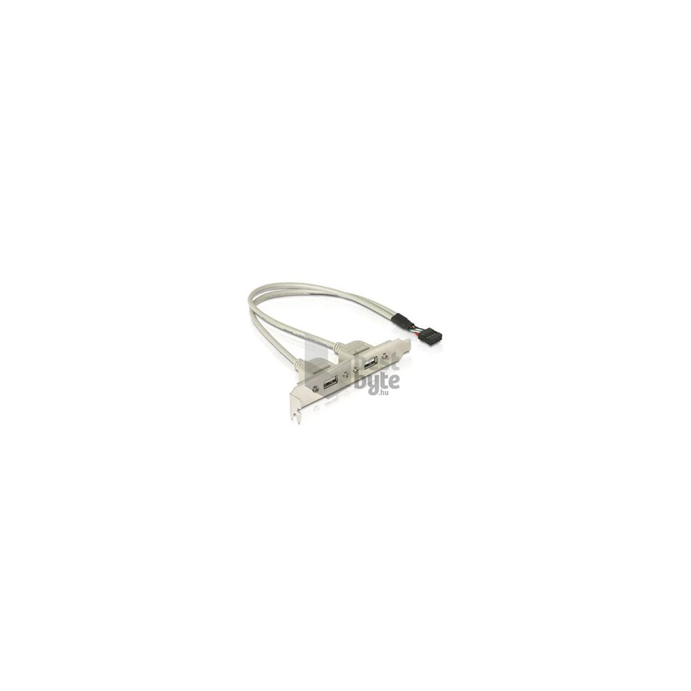Delock 71000 Slot konzol 1x belső USB 9tűs > 2x USB2.0 külső