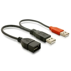 Delock USB adat- és hálózati kábel