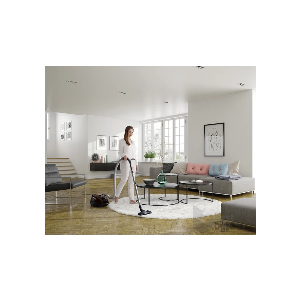 Electrolux EPF65BR barna porzsákos porszívó
