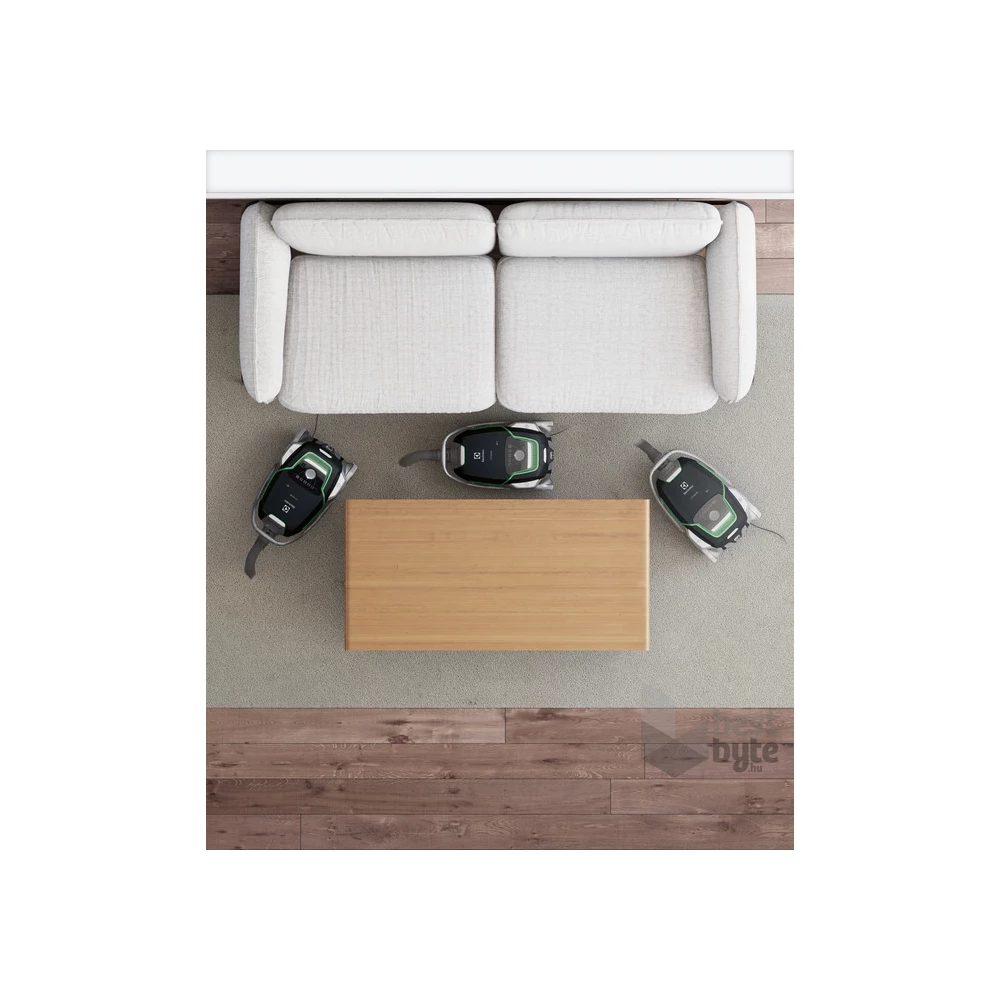 Electrolux EUOC9GREEN UltraOne csendes fekete porzsákos porszívó
