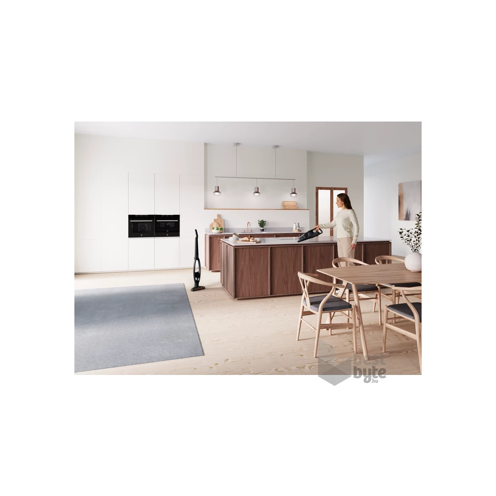 Electrolux WQ61-42GG Well Q6 fekete akkumulátoros kézi porszívó