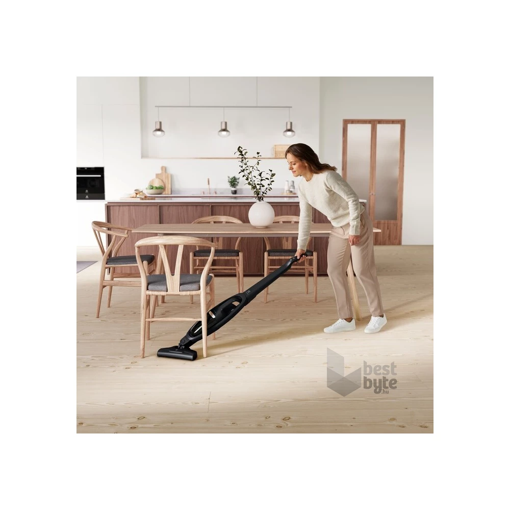 Electrolux WQ61-42GG Well Q6 fekete akkumulátoros kézi porszívó