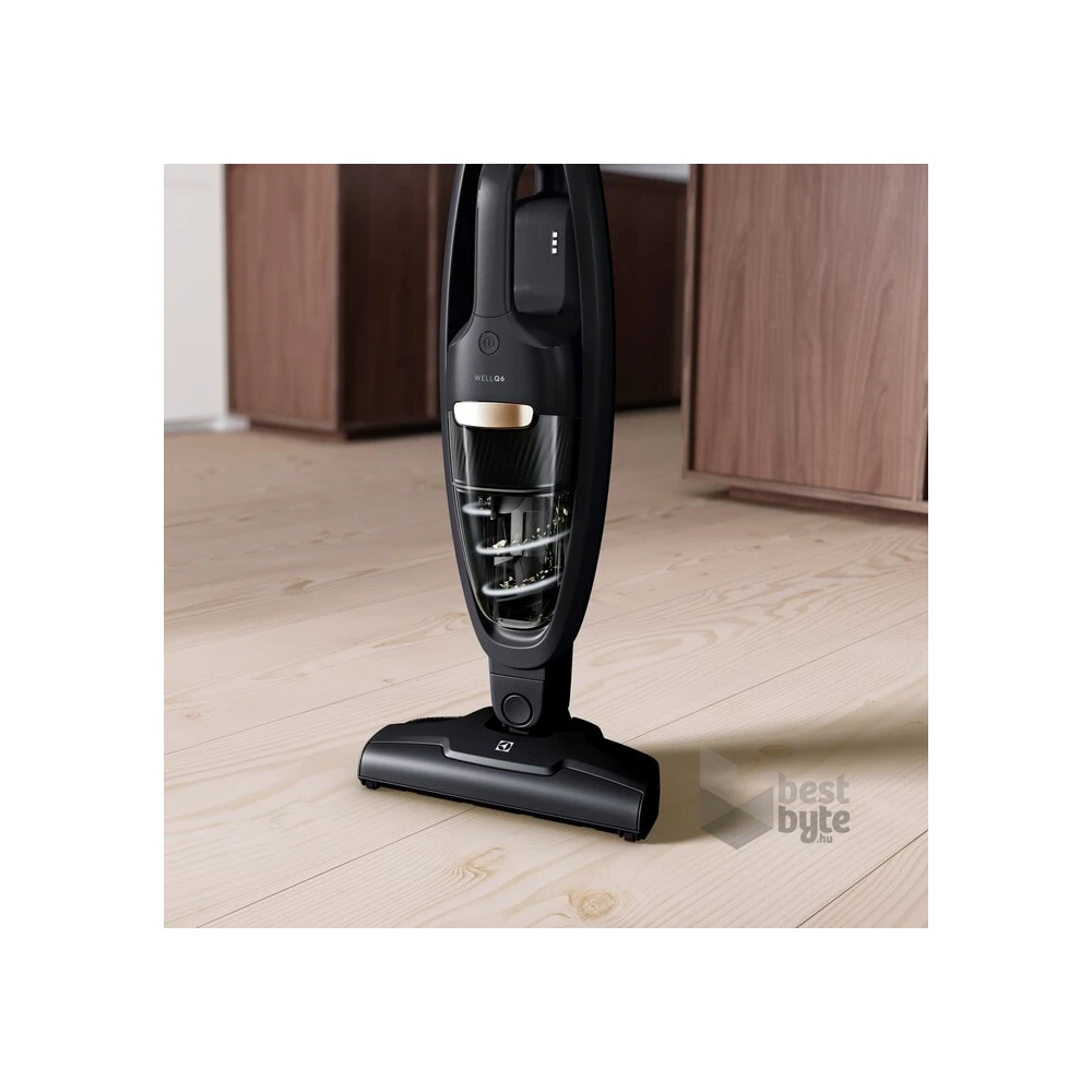 Electrolux WQ61-42GG Well Q6 fekete akkumulátoros kézi porszívó