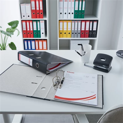 Esselte Economy A4 5cm piros iratrendező