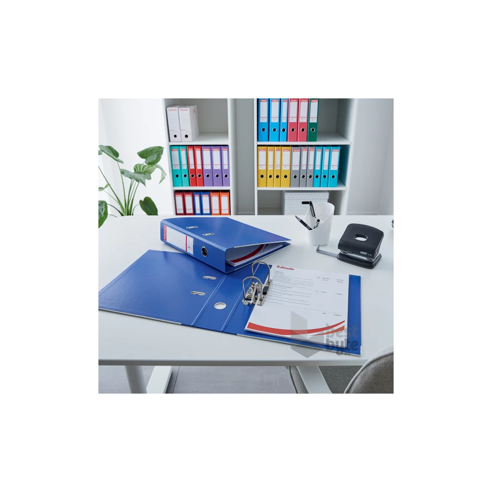 Esselte Standard A4 5cm mentazöld iratrendező