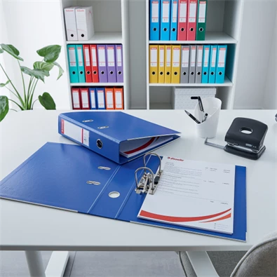 Esselte Standard A4 5cm mentazöld iratrendező