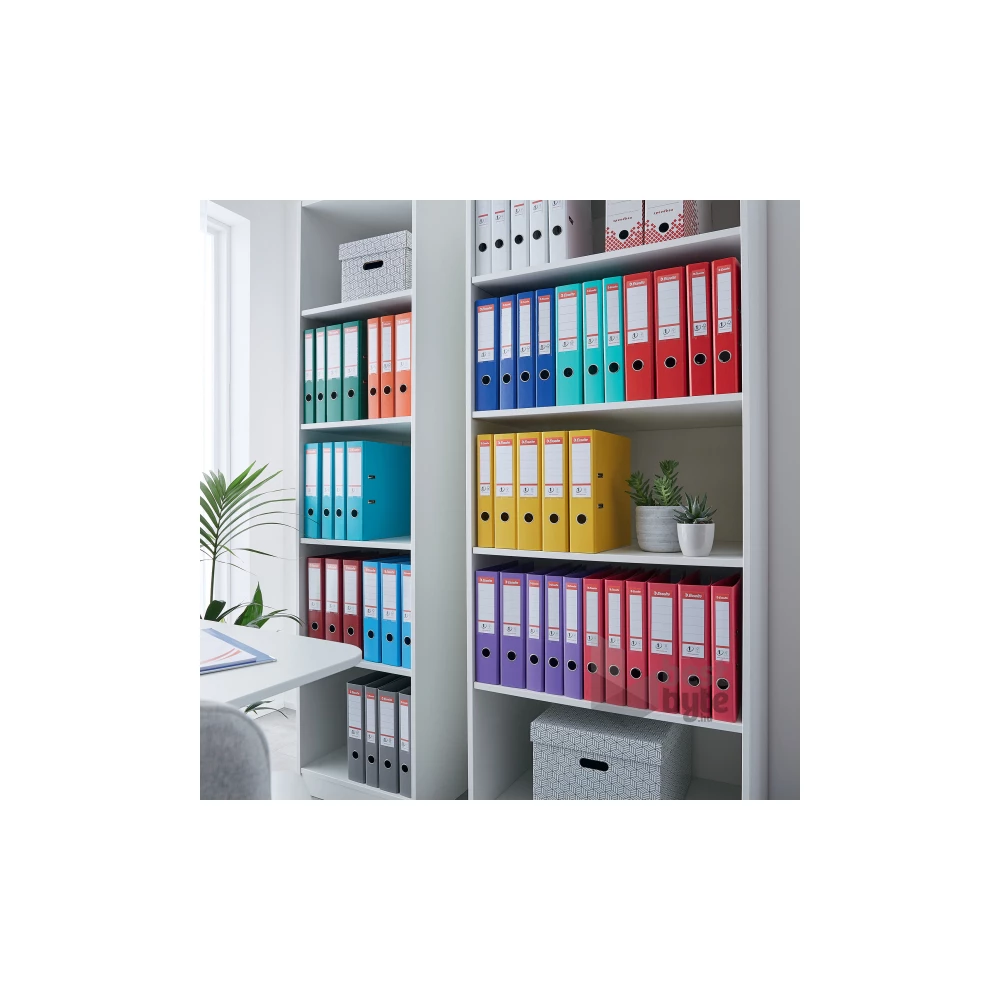 Esselte Standard A4 5cm mentazöld iratrendező