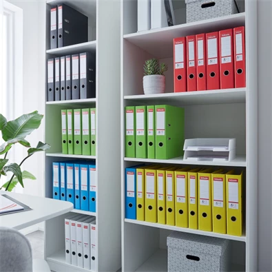 Esselte Standard Vivida A4 5cm fehér iratrendező