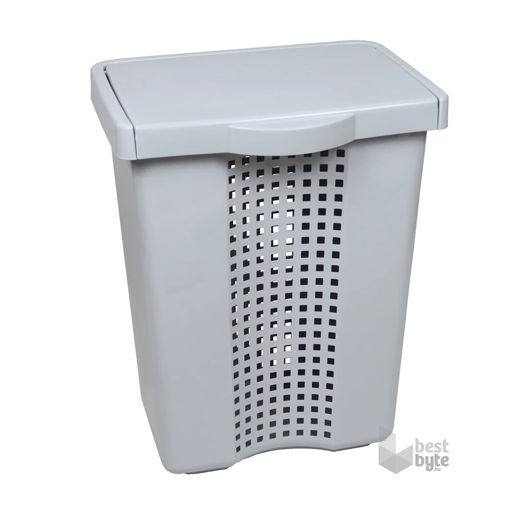 FLAIR 80102 LINETTE 60L szürke szennyestartó