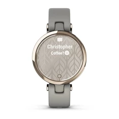 Garmin Lily Classic krém-arany, braloba-szürke tok és bőrszíj okosóra