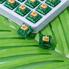 Gateron Beer Switch - Prémium Tactile Mechanikus switch szett (10db)