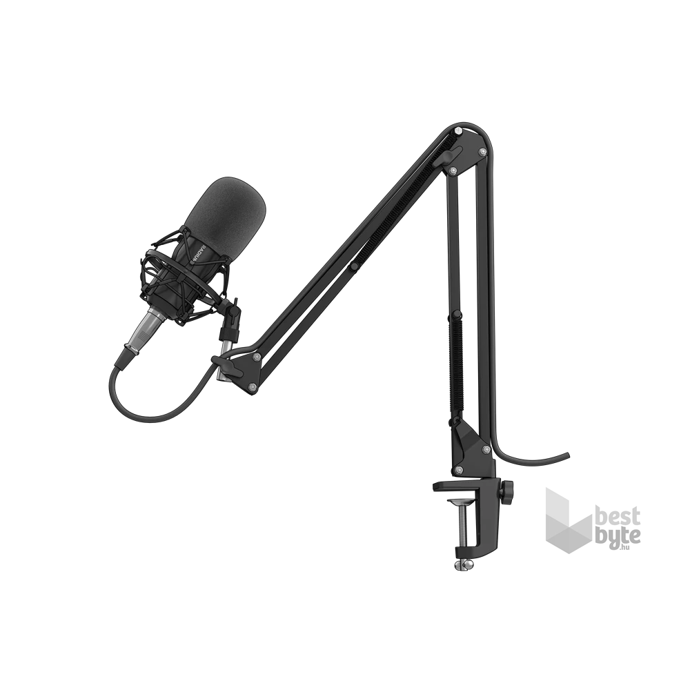 Genesis NGM-1695 Radium 300 XLR fekete stúdió mikrofon