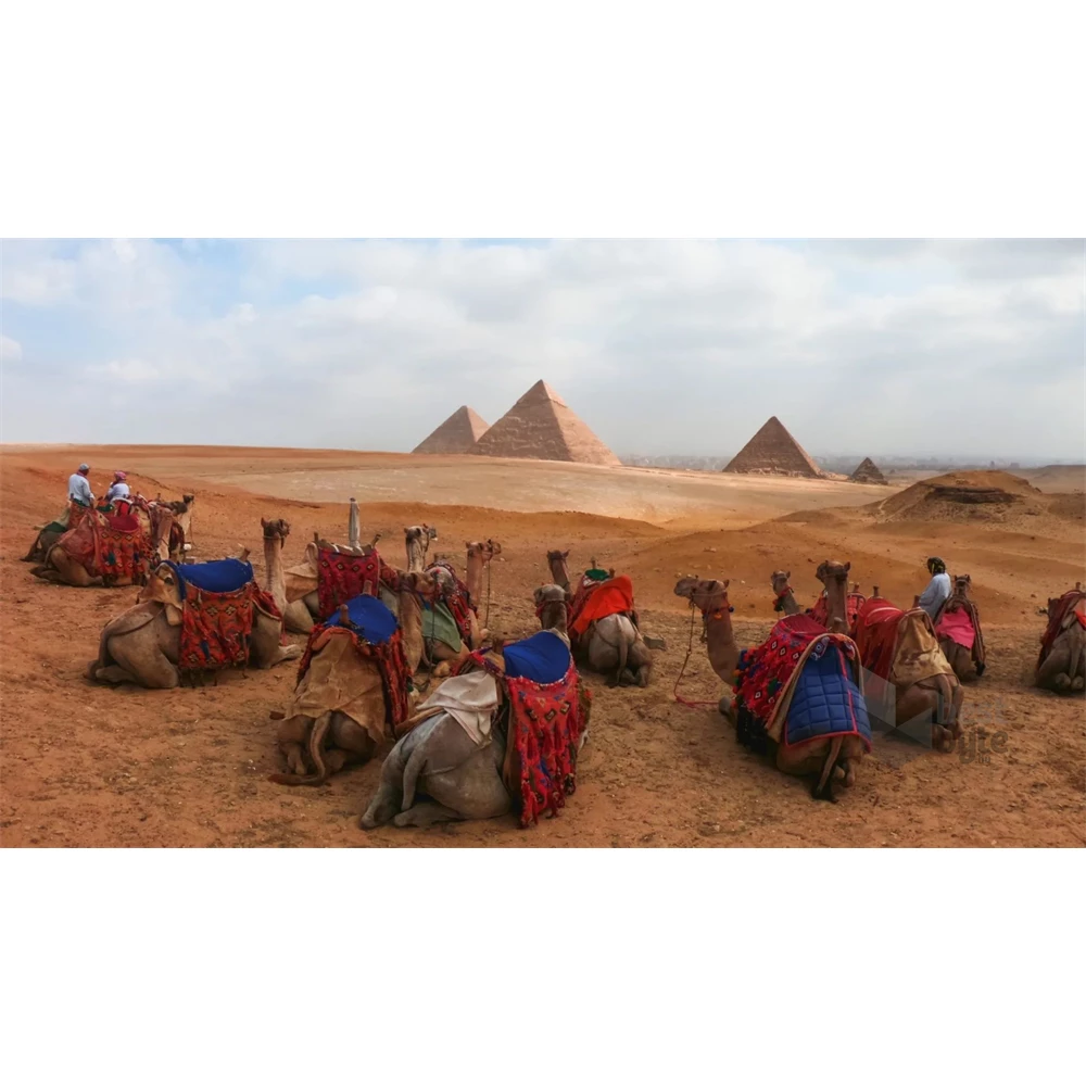 GoPro Enduro battery for HERO13 Black akkumulátor