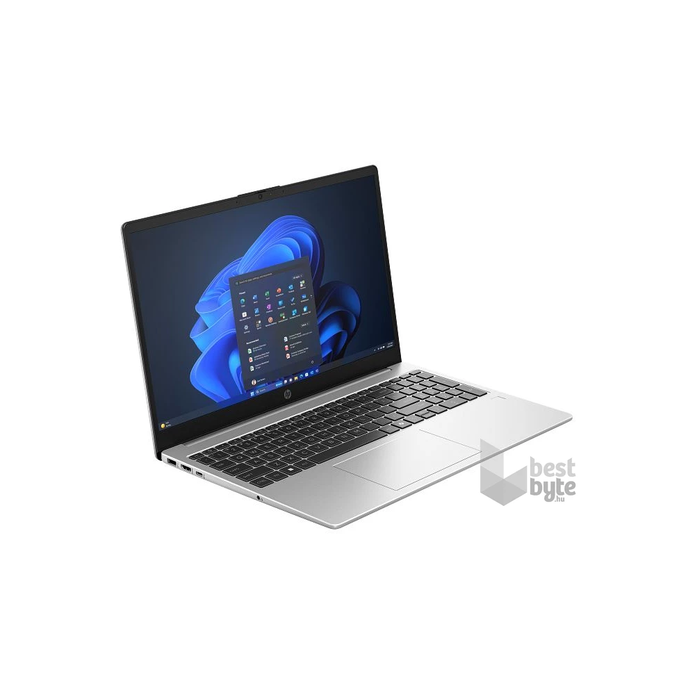 HP 250R G10 laptop (15,6"FHD/Intel Core 3 100U/Int.VGA/8GB RAM/512GB/FreeDOS) - ezüst