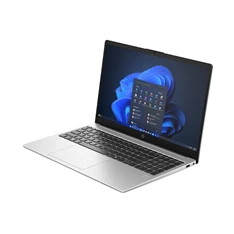 HP 250R G10 laptop (15,6"FHD/Intel Core 3 100U/Int.VGA/8GB RAM/512GB/FreeDOS) - ezüst