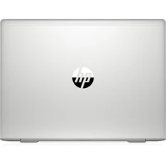 HP ProBook 455 G7 laptop (15,6"FHD AMD Ryzen 3-4300U/Int. VGA/8GB RAM/256GB/Win10 Pro) - ezüst