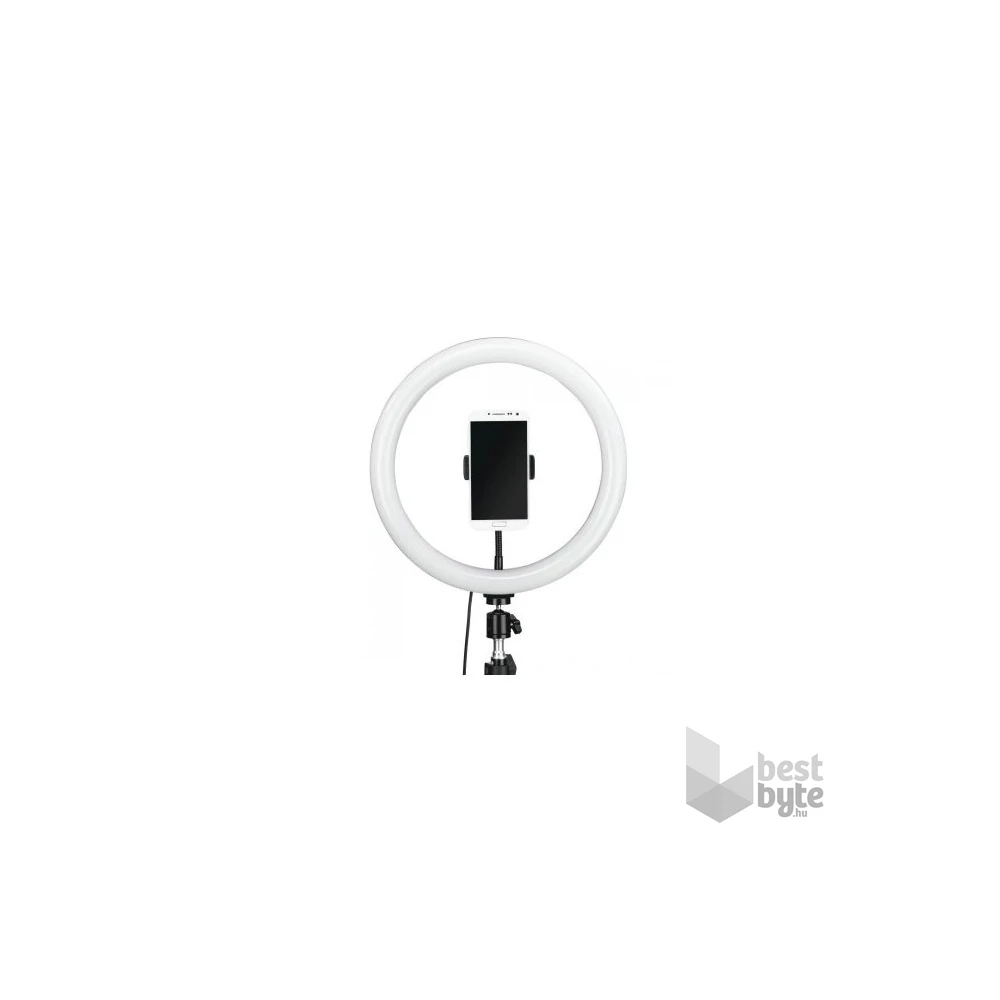 Hama 4659 "SPOTLIGHT STEADY 120 II" LED körlámpás okostelefon állvány