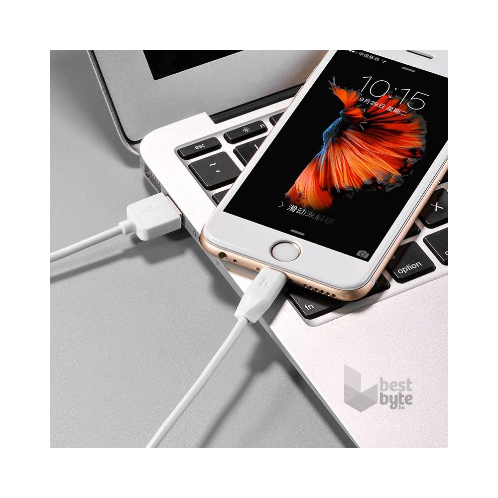 Hoco HOC0053 X1 1m Lightning > USB fehér kábel