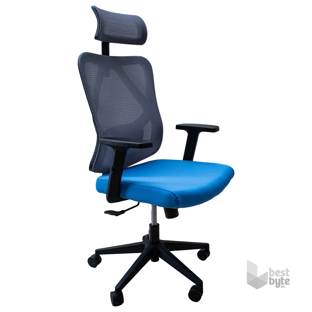 IRISOffice Eclipse kék/szürke ergonómikus, szövet-hálós irodai forgószék fej és háttámasszal