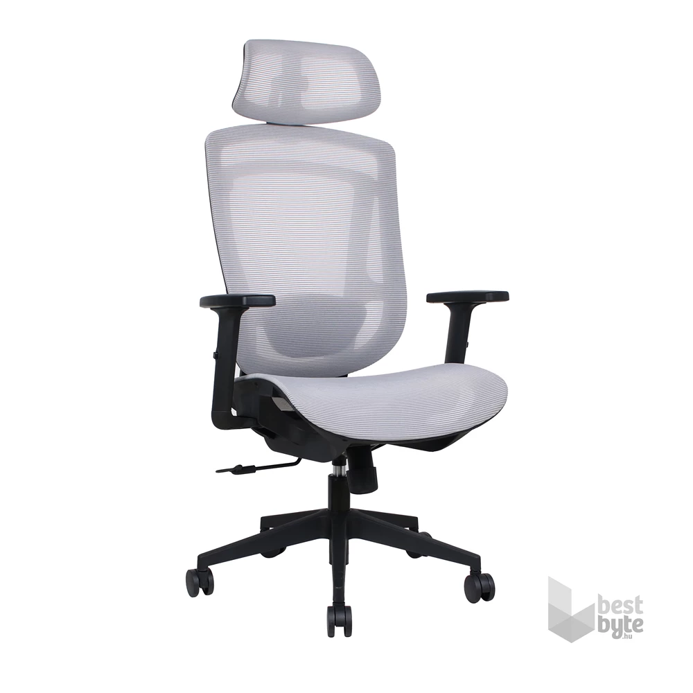 IRISOffice Nimbus szürke ergonómikus, szövet-hálós irodai forgószék fej és háttámasszal