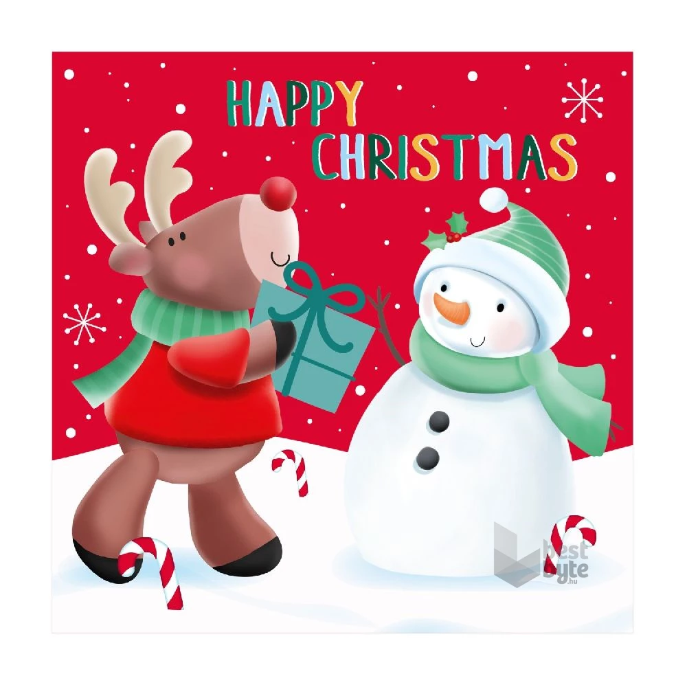 IRIS Karácsonyi ajándék kártya 20db/csomag 2 féle, 10-10db/ minta, 10x10cm